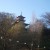 DSCF1451