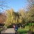 DSCF1452